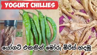 යෝගට් දාලා මෝරු මිරිස් හැදුවා👍yoghurt moru miris 2024 recipe [upl. by Adnima]