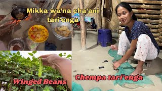 Natok Amna Chempa Tari’enga  Garo Vlogs [upl. by Cassy198]