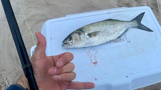 SURF FISHING FOR BLUEFISH IN NJ stormy conditions [upl. by Maegan]