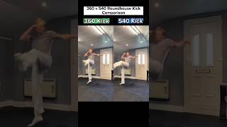 360 vs 540 Kick ✅ Comparison roundhouse tutorial kick viral shorts [upl. by Deppy]