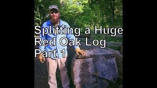 SPLITTING A HUGE RED OAK LOG [upl. by Ymas488]