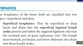 Lymphatics of lower limb amp Lymph node of Cloquet  Rosenmuller [upl. by Llirpa]