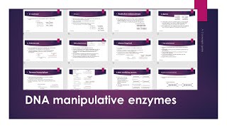 DNA Manipulative Enzymes Gene Conning  Urdu\ Hindi [upl. by Cammie]