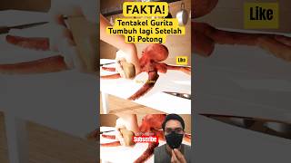 FAKTA Tentakel Gurita Tumbuh kembali Setelah Terpotong octopus ocean [upl. by Godbeare]