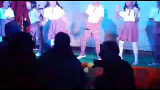 Jvm shyamali Annual function 2015 [upl. by Eiuqnom]