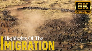 The Most Beautiful Moments Of The Great Migration In Masai Mara Kenya With Relaxing Music [upl. by Weisbart415]