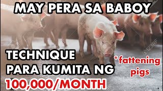 KUMITA NG 100K KADA BUWAN SA PAGAALAGA NG BABOYNEGOSYO PHILIPPINES [upl. by Calesta983]