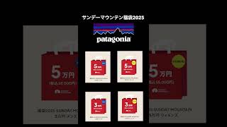 2025福袋 紹介⑨ short patagonia福袋 tictac福袋 福袋 福袋2025 patagonia パタゴニア [upl. by Atsugua969]