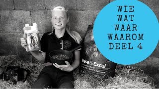 MAAGZWEER BIJ PAARDEN WIEWATWAARWAAROM JOANNENEIDHOFERHORSES VLOG4 [upl. by Hesoj266]