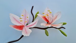 How To Make Bauhinia Variegata Paper Flower  Paper Flower  Góc nhỏ Handmade [upl. by Eenram]