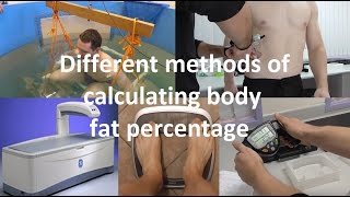 Body Composition Analysis [upl. by Sidnala77]