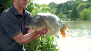 The Fishery At Sumners Ponds Fishery amp Campsite [upl. by Preciosa]