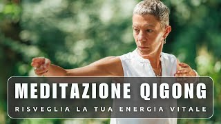 Meditazione Qigong  La Chiave per Risvegliare la tua ENERGIA VITALE [upl. by Colfin893]