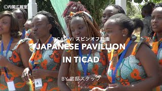 TICAD Ⅵ（ジャパン・アフリカEXPOでの日本企業の展示の様子）―平成28年8月25～28日 [upl. by Latsyrd]