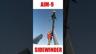 Aim9 Sidewinder [upl. by Galven966]