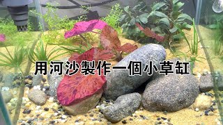 沉浸式開缸，用河沙製作一個小草缸【水世界水族馆】Make a small grass tank out of river sand [upl. by Eatton]