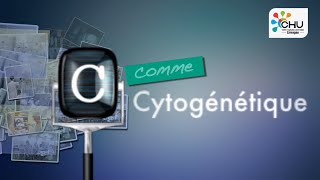 C  Cytogénétique par le Pr Catherine Yardin [upl. by Ytirahc]