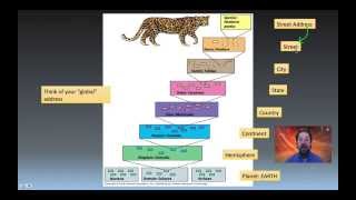 Taxonomy Phylogeny and Systematics [upl. by Aidil767]