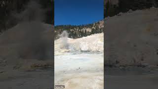 Its Easy trail to Bumpass Hell Hot at Lassen Volcanic National Parkshorts nationalparks [upl. by Asilad155]