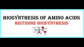 BIOSYNTHESIS OF AMINO ACIDSHistidine biosynthesis [upl. by Cusick]