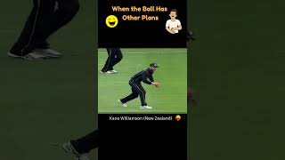 😂 Epic Cricket Fielding Blunders cricket cricketlover sports [upl. by Airdnaxela4]