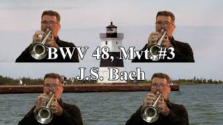 BWV 48 Mvt 3 JS Bach [upl. by Karalee]