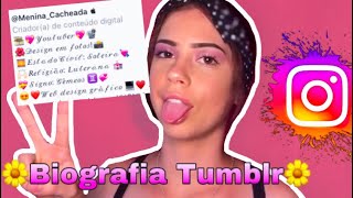 Como fazer biografia tumblr do instagram [upl. by Erlinna]