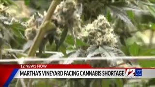 Cannabis shortage drawing near for Martha’s Vineyard [upl. by Lynne]