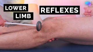 Reflexes of the Lower Limbs  OSCE Clip  UKMLA  CPSA [upl. by Kamila]