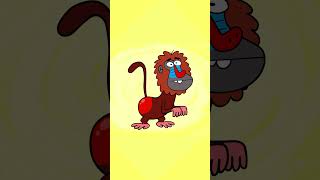 Baboon Kids Song  Hooray Kids Songs shorts hooraykidssongs nurseryrhymes monkey [upl. by Odlaumor812]