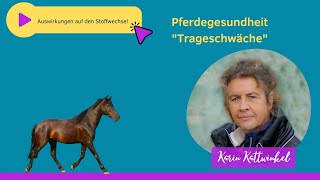 Auswirkungen der Trageschwäche auf den Stoffwechsel  Pferdegesundheit  Karin Kattwinkel [upl. by Damian]