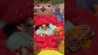 Shringar basanti hai 🛐🌺 radhakrishna yashodakrishna shyam laddugopal [upl. by Aelanna]