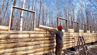 Building A Big Log Cabin In The Woods Alone Framing In The Remaining Windows [upl. by Deland]