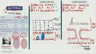 INFECTOLOGIA GENERALIDADES BACTERIOLOGIA ANTIBIOTICOS ANTIFIMICOS [upl. by Osgood146]