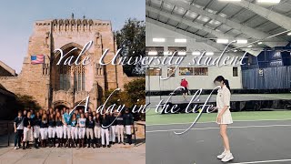 🇺🇸예일대 유학생 일상🏈예일하버드게임예일짐GYM운동🎾테니스대회🐎예일폴로팀 한국인Yale Harvard GameYale Polo [upl. by Sackey]