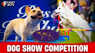 History of Westminster Dog Show  2024 Dog Show Competition [upl. by Farrison914]