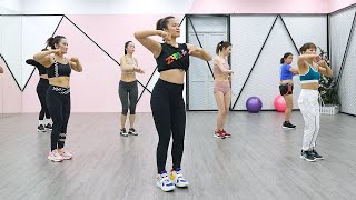 AEROBIC DANCE  Best Standing Exercises for a Small Waist amp Flat Belly [upl. by Dnalon]