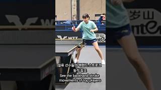 일류 선수들의 백핸드 스트로크 동작 참조 See the backhand stroke movements of top players 一流選手のバックハンドストロークの動作を参考にし [upl. by Hassin993]