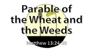 Parable of the Wheat and the Weeds  Childrens Version Matthew 132430 [upl. by Nameloc341]