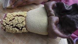 Elephant flower recipes  Yam Flower curry  Chena poovu kulambu  Black flower recipe Amma Samayal [upl. by Asilav]