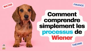 👩‍🎓⚡Comment comprendre simplement un processus de Wiener [upl. by Hale]