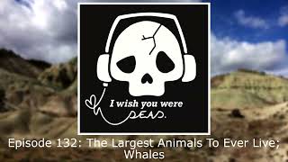 Episode 132 The Largest Animals To Ever Live Whales [upl. by Nora]