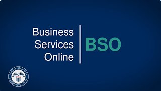 Business Services Online BSO What You Need To Know [upl. by Tegan]