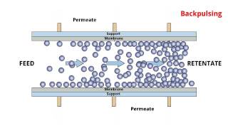 POREX® TMF  Cross flow filtration process [upl. by Radbun]