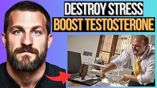 BOOST Testosterone LEVELS With HACKS To Destroy STRESS Neuroscientist Andrew Huberman [upl. by Adnahsar]