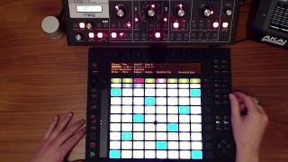 modul8tor  push ableton amp moog  live performance [upl. by Toomin60]