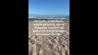 Frases Garcilaso De la Vega maricarmenpalomares [upl. by Searcy]