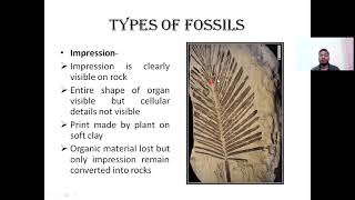 Process of Plant Fossilization and Types of Fossils Unit I Paleobotany BSc Semester II SGBAU [upl. by Herring228]