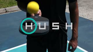 The Quietest Pickleball Paddle In The World  The Hush by Diadem [upl. by Alisa]