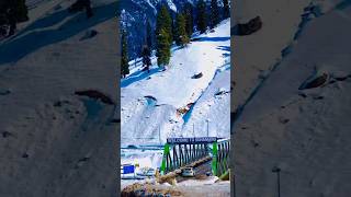 Live Snowfall Moments Turistshorts shorts tourism photography travel valley trending kashmir [upl. by Alger55]